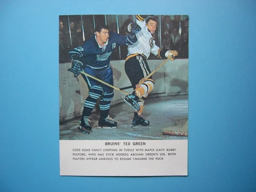 1964/65 TORONTO STAR WEEKLY NHL HOCKEY PHOTO TED GREEN SHARP!! BOSTON BRUINS