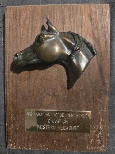 1981 Arabian Horse Pentathlon Champion Western Pleasure Horse Head Trophy