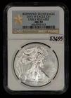 2015-W 1 oz Silver American Eagle Burnished - NGC MS 70 - SKU-E3655
