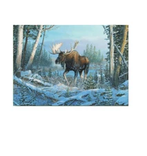 Moose in the Woods Christmas Cards (Boxed Pack of 10) Cats Holiday Animals