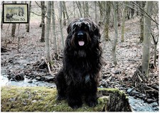 Biżuteria Waller 1.2