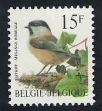 Belgium Willow tit Bird Buzin  Mesange boreale  15f 1997 MNH SG#3313