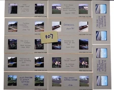 12 Stereo realist slides - Flowers NC - 1985-6 - #107