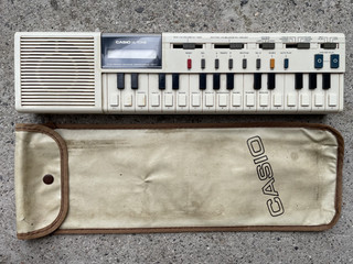 Casio VL Tone VL 1 Vintage Electronic Synthesizer Keyboard with Case