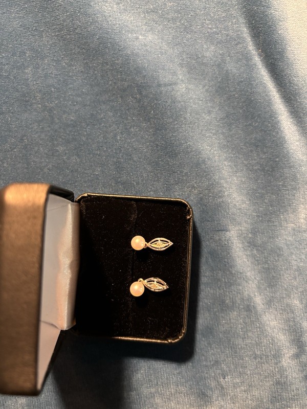 14k White Gold Diamond Dangle Earrings