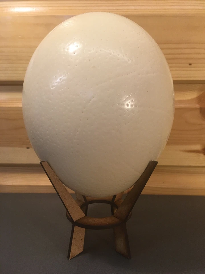Ostrich Eco Egg Stand - Wood - Image 2 of 2