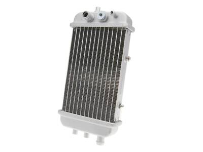 Gilera GSM 50cc 2001-02 Radiator | eBay