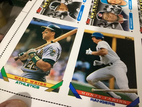 Topps 1993 Uncut Sheet Baseball (132) Karten Serie 2 Brett #13 - Bild 6 von 10