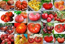 Mixed Seeds 30 Giant Tomato Seeds, Mix of 19 Varieties, Heirloom Non-GMO, Bra...