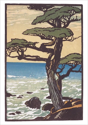 Impresiones en bloque de artes y manualidades de William S. Rice - 20 tarjetas con sobres - Imagen 5 de 5