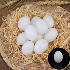 Solid Fake Eggs Solid Pigeon 10Pcs Hatching Dummy Plastic Eggs White Supplies