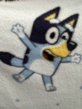 Bluey Kids Cartoon Fleece Fabric By The yard, 60 Wide, Blanket Fabric