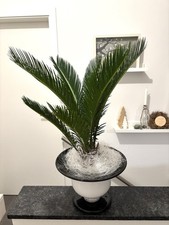 Handgefertigte Keramik mit Goldrand Bosa Italien Cycas Palme