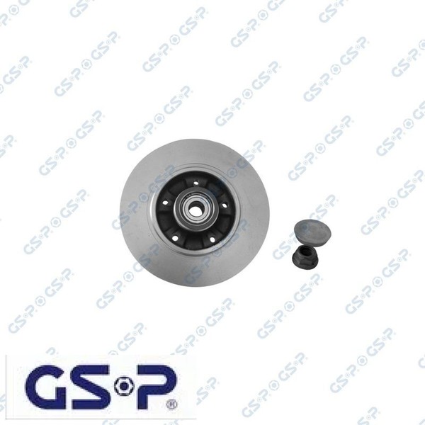 2X Bremsscheibe GSP 9225038K 2 Bremsscheiben Hinterachse Hinten FüR Renault-image