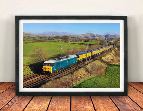 Class 50 50008 Thunderer gerahmter Druck Laira BR blau British Rail Railwayana Geschenk | Condition: New