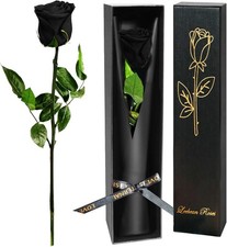 Black Preserved Roses for Delivery - Single Flower Gifts for Her
