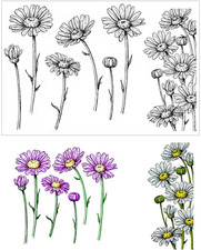 Daisy Flowers Clear Stamps for Card Making or Journaling, Floral Rubber Stamps F