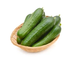 Muncher Burpless Cucumber: 20 Seeds