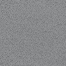Nissan Gray Leather Dye