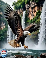askkqtx Eagle Paint by Numbers Kit for Adults, DIY Waterfall Pain