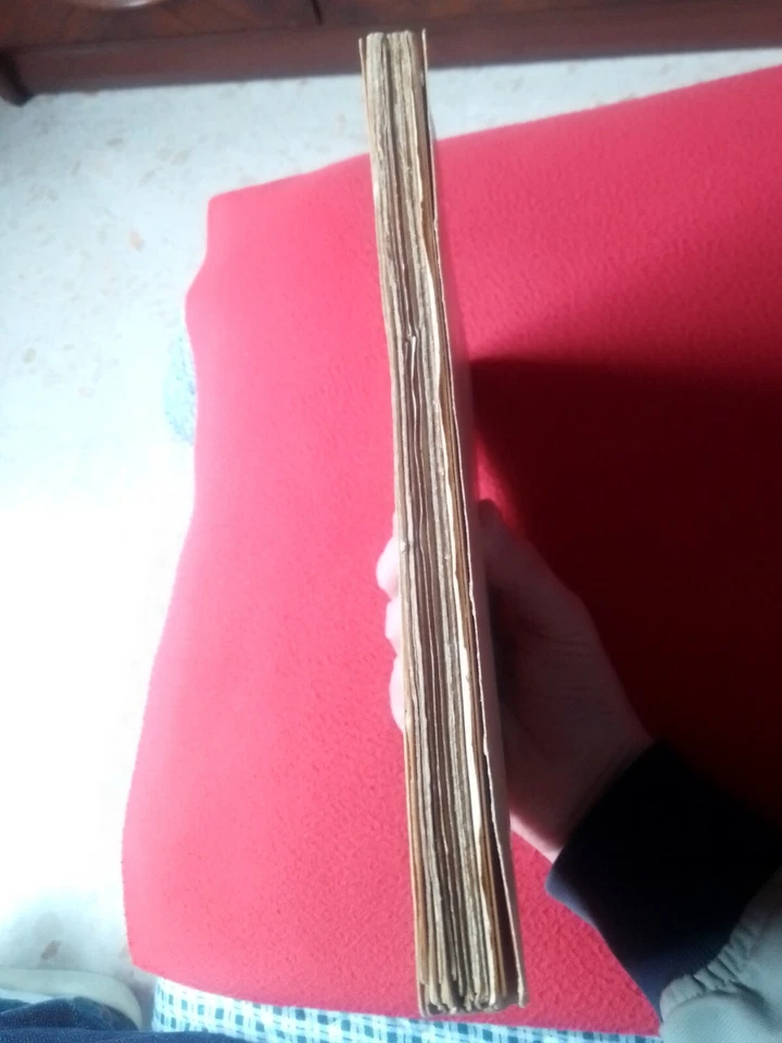 LIBRO COSTIN PETRESCO L´ART DE LA FRESQUE PRÉFACE DE PAUL LÉON PARIS 1931-1932.. - Imagen 3 de 4