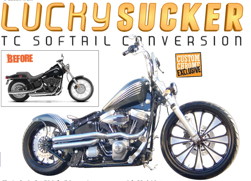 Lucky Sucker Fuel Gas Tank Fit For Harley EFI Twin Cam Softails 2000-later — 第 2/4 张图片
