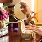 Jewelry Box Lock Decorative Wooden Box Lock Antique Jewelry Box Lock with Key