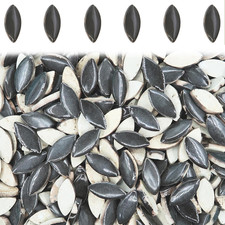 50 Pieces Ceramic Mosaic Tiles for Crafts, Assorted Colors Petal Mosaic Ceramic