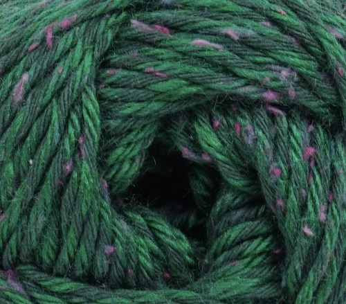 Tatamy Tweed DK Yarn - #1623 Jungle Vine by Kraemer Yarns - 第 1/1 張圖片