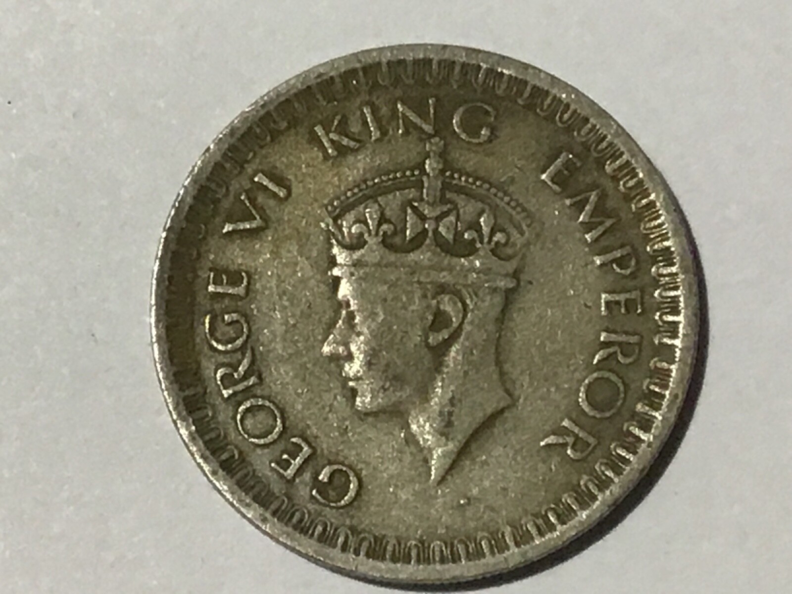 Picture 172 of 216