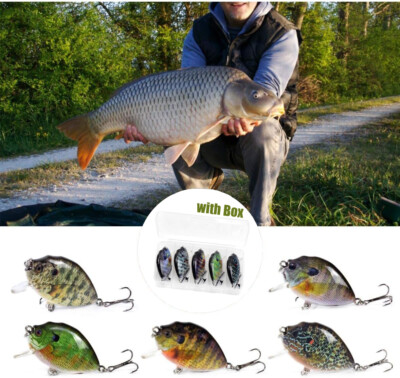 5PCS Fishing Lures 6cm 15g Mini Wobbler Fishing Lure Artificial Hard Bait w/Box