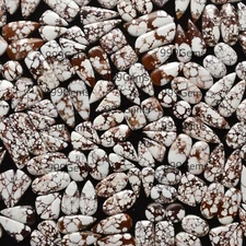 150 gram Handpicked Crystal Wild Horse Earrings Pair Cabochon Loose Gemstone Lot