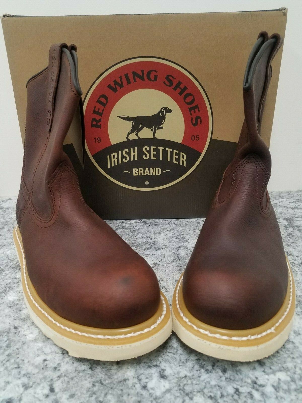 irish setter 83908