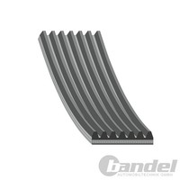 Febi Keilrippenriemen 7PK1121 7PK1129 Passend FüR Renault Grand Megane ScÉNic