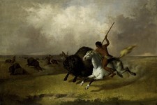 Buffalo Hunt Southwestern Prairies Vintage 1840s Photo Reprint Wall Art