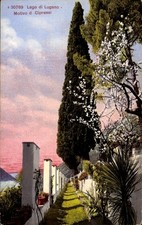 Ak Gandria Lago di Lugano Tessin Schweiz,  Zypressen, blühende... - 5010030