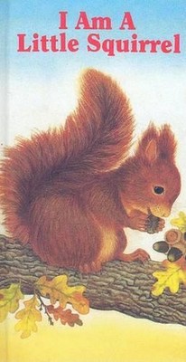 I Am a Little Squirrel by Amrei Fechner (English) Hardcover Book