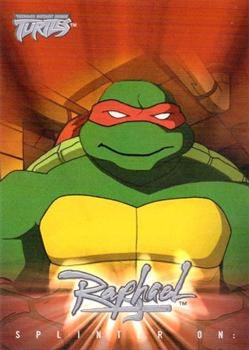 2003 Fleer Teenage Mutant Ninja Turtles 1 BASIC / BASE CARDS 1 TO 125 CHOOSE - Picture 6 of 136