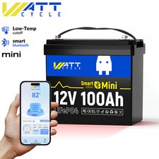 LiFePO4 Lithium Battery 12V 100Ah Mini Bluetooth 100A BMS Low-Temp RV Marine