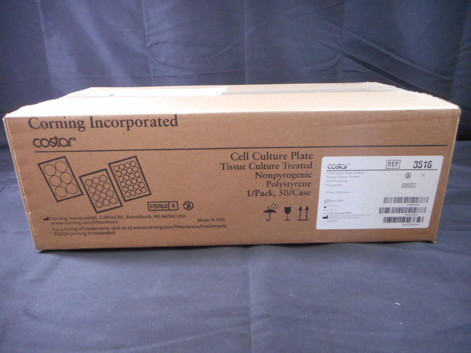 CORNING Costar PS 6 Well Cell Culture Plate Tissue Culture Treated 3516 (50/Cs) eBay