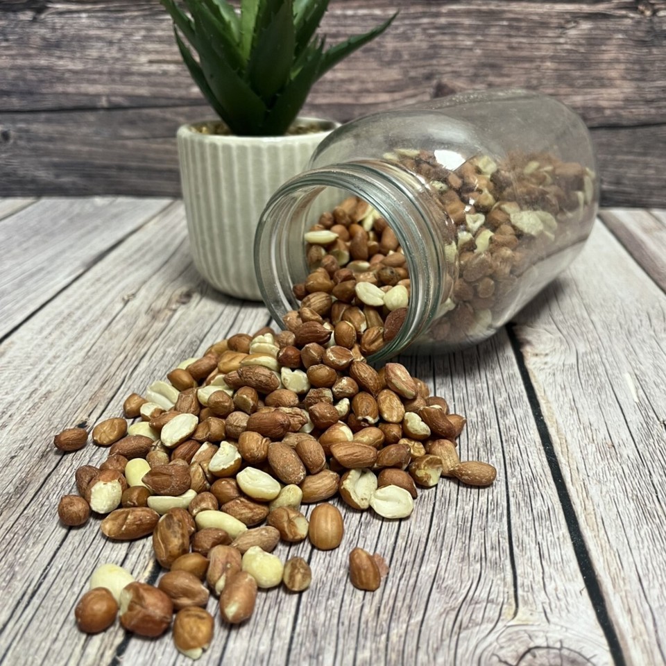 5 Litre Bag Whole Peanuts Premium Safe Wild Bird Food (Weight 3kg