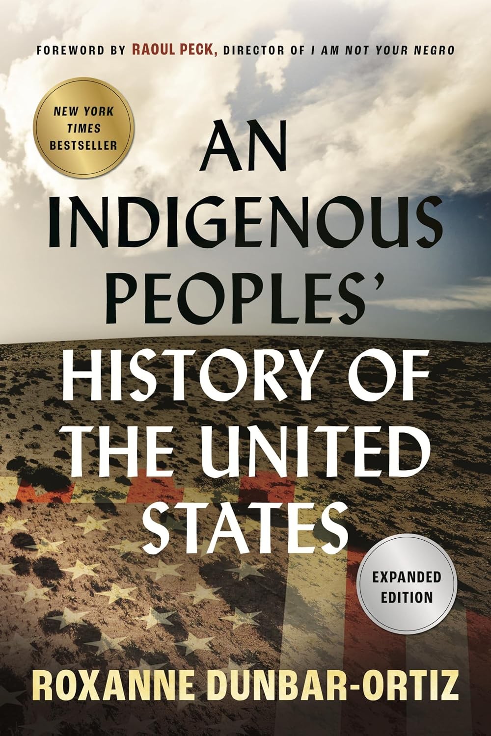 An Indigenous Peoples' History of the United States (ReVisioning - Image 6