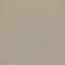 Nissan Blonde Leather Dye