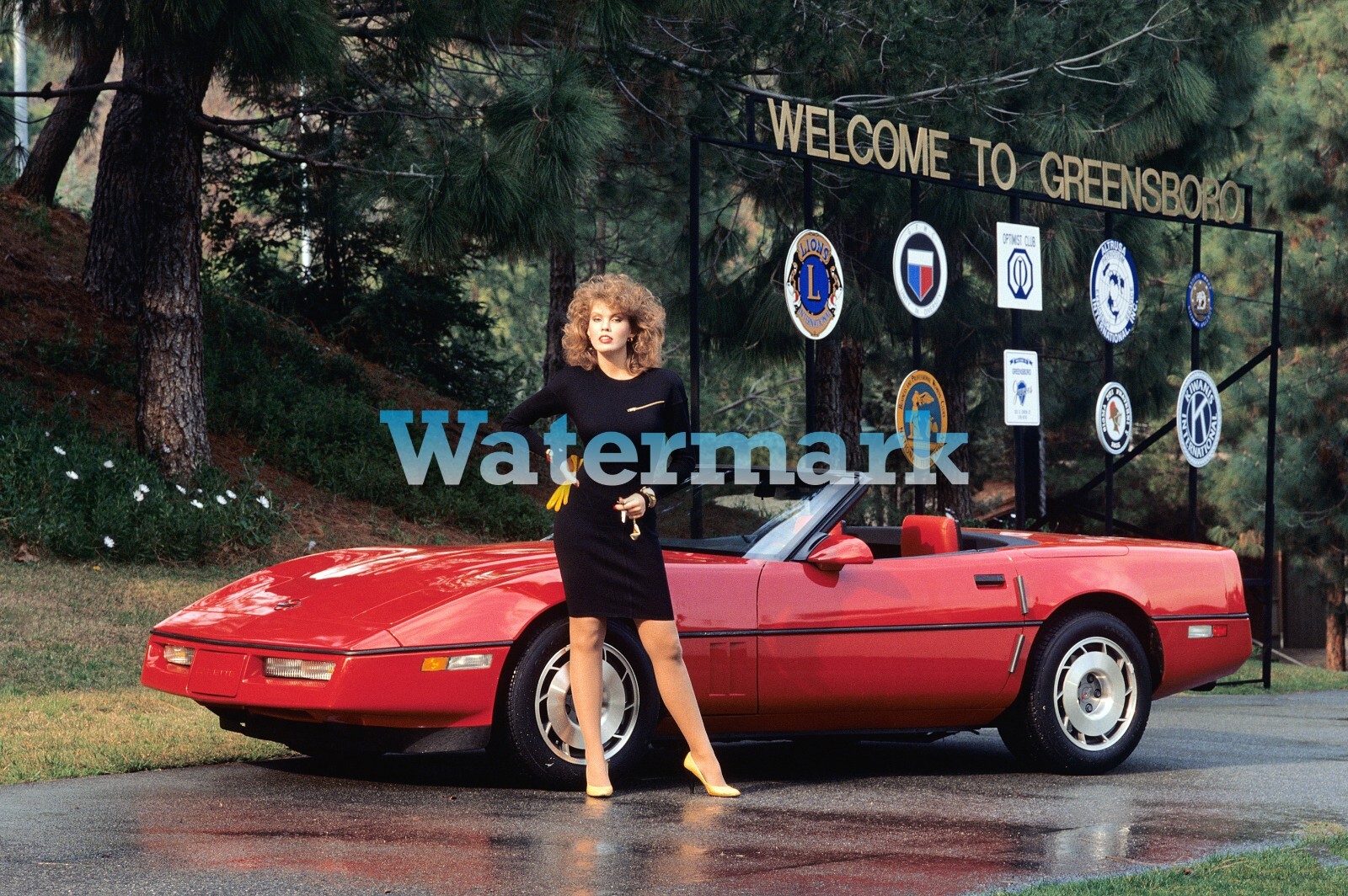 Donna Edmondson 1987 PMOY Chevy Corvette ** Pro Pigment Print (8.5x11) HI-RES | eBay