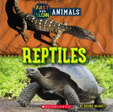 Fast and Slow: Reptiles (Wild World) - Paperback By Maloney, Brenna - VERY GOOD