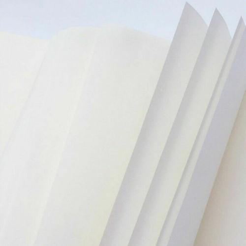 100 Sheets Chinese Raw Rice Paper Strong Ink Absorption Calligraphy Supplies New - Picture 8 of 11
