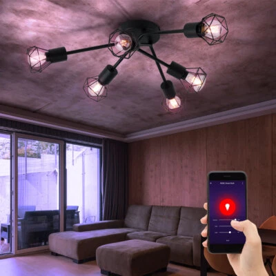 Smart RGB LED Käfig Decken Leuchte DIMMBAR Wohnzimmer ALEXA Google Lampe schwarz - Bild 1 von 4