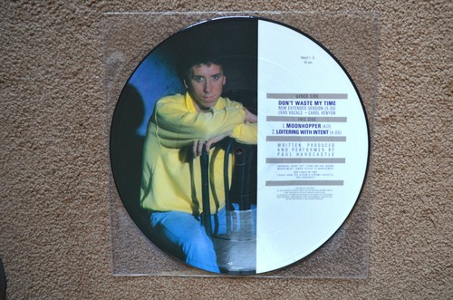 Paul Hardcastle Ltd. U.K. 12" Picture Disc "Don't Waste My Time" Chrysalis, NM - Imagen 2 de 2