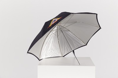 Photoflex Blitzschirm