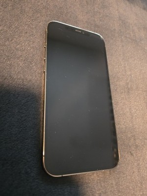 Buy Apple iPhone 12 Pro Max - 256 GB - Gold (Unlocked) online | eBay